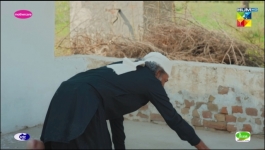 Zard Patton Ka Bunn - Episode 05 - 9th Jun 2024